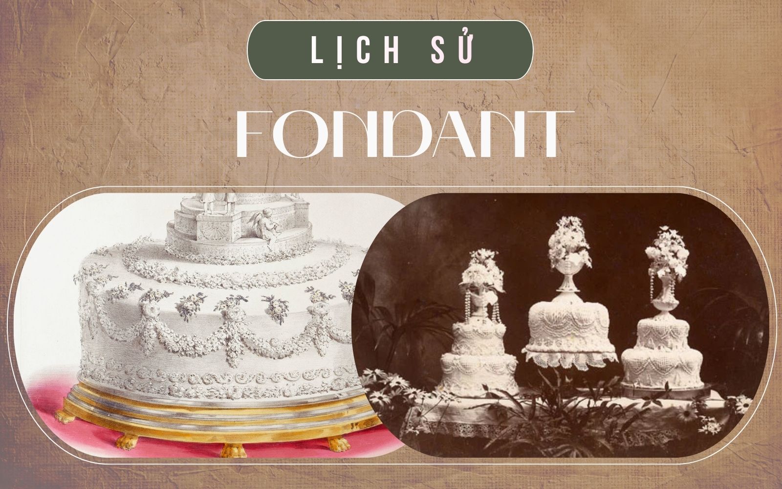 Câu chuyện lịch sử fondant là gì