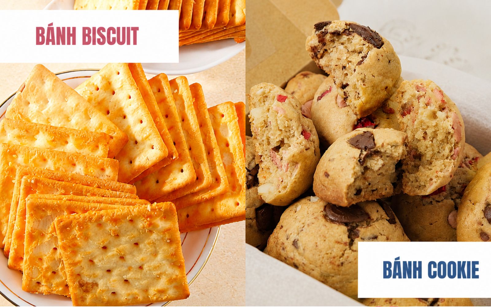 Tìm hương vị yêu thích cùng bánh Cookies và Biscuit để vỗ về tâm hồn trong phút giây thư giãn
