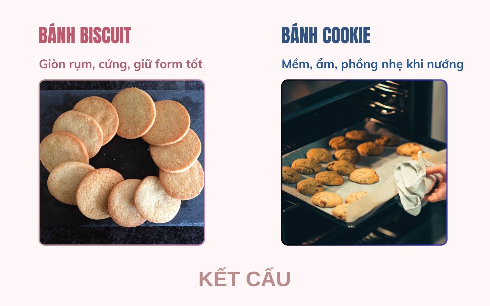 Chọn bánh Biscuit hay Cookie là chọn giữa độ giòn tan tinh tế và chất mềm xốp đầy nuông chiều