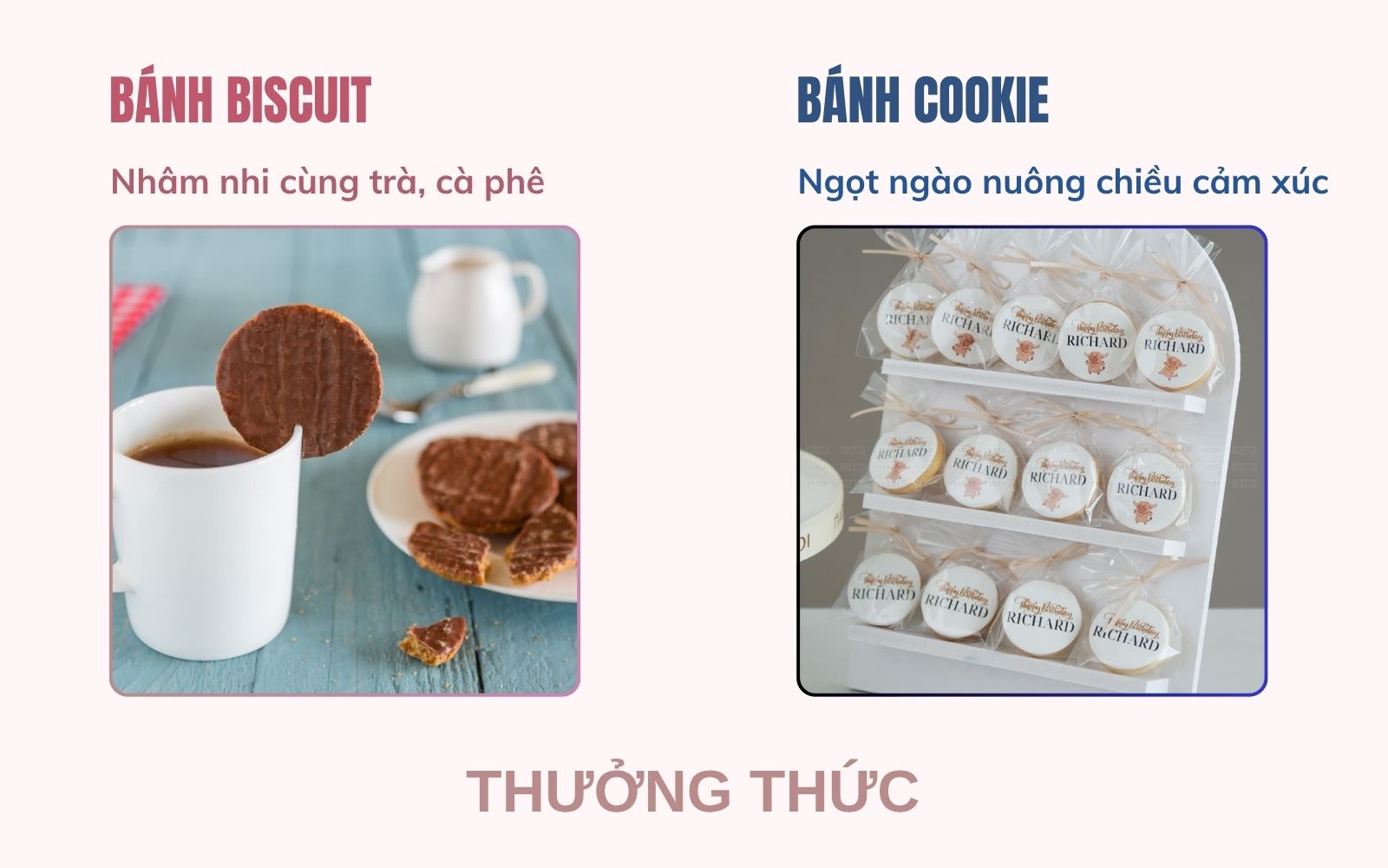 Thưởng thức bánh Biscuit và Cookie theo phong cách riêng, với hương vị phù hợp mọi cá tính