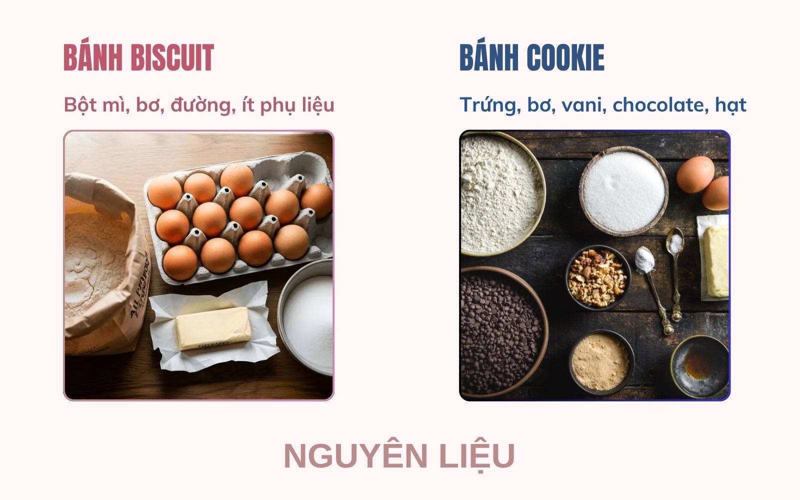 Cùng từ những nguyên liệu quen thuộc, bánh Biscuit so với Cookie vẫn tạo nên kết cấu riêng biệt